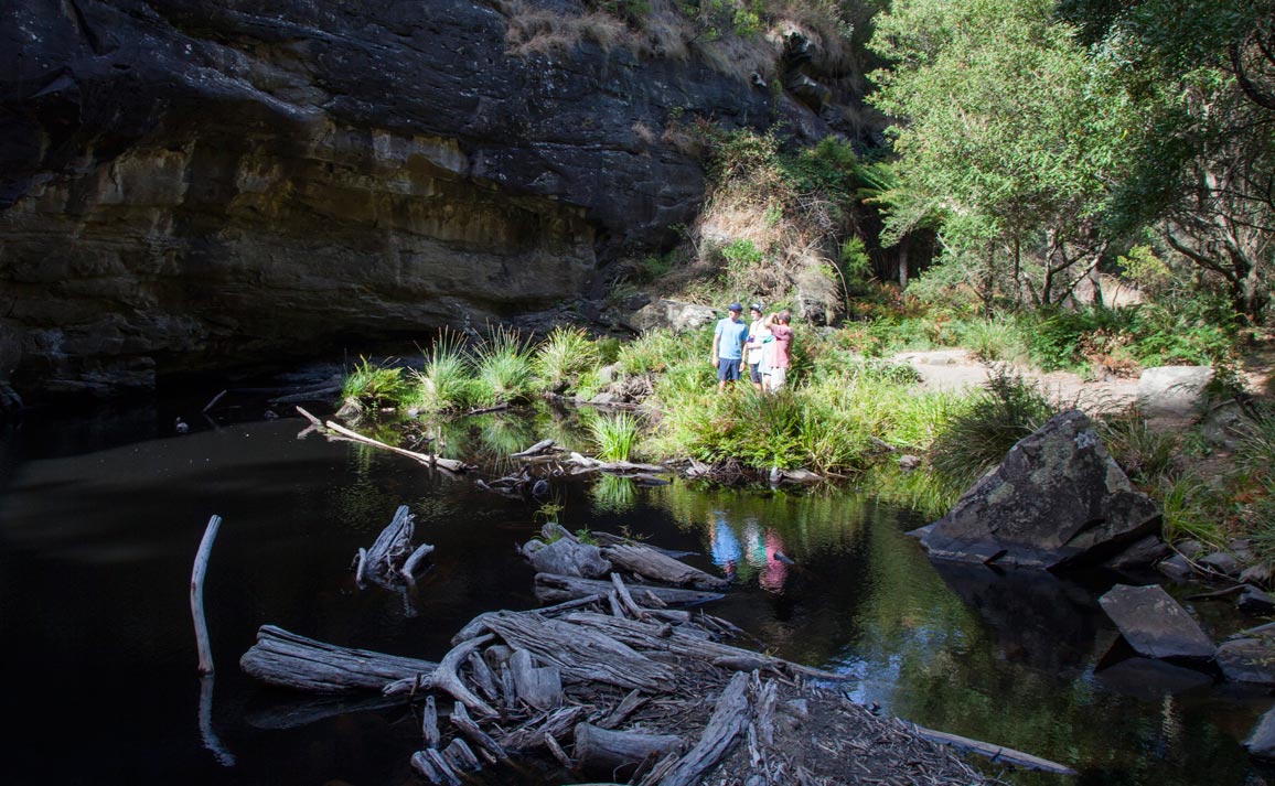 Club Lorne Activities Bush Walk